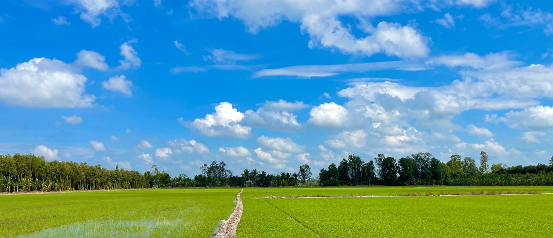 Văn Khoa